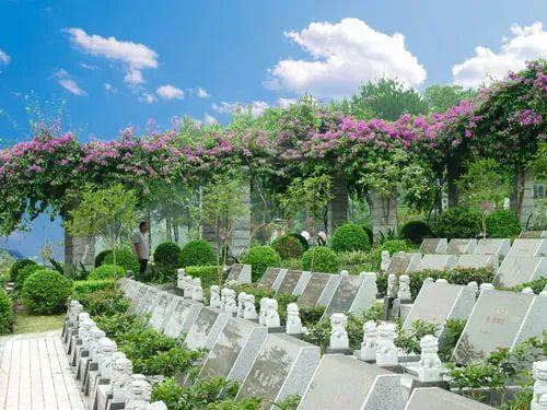 陵园墓地